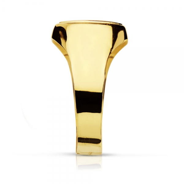 18K SELLO ORO AMARILLO CABALLERO HUECO