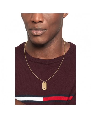 COLLAR TOMMY HILFIGER 2790423