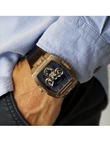 Reloj Guess Watches GW0202G2 Phoenix