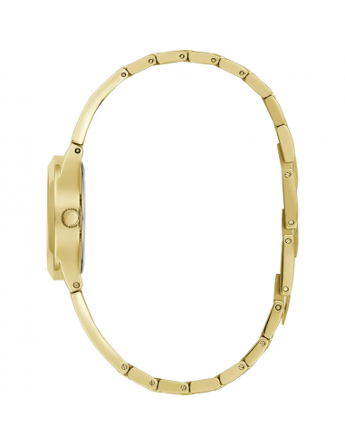 Reloj Guess GW0609L2 Tessa Mujer