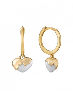 Pendientes de plata Viceroy...