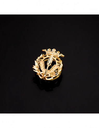 18K INSIGNIA ORO AMARILLO CIENCIAS...