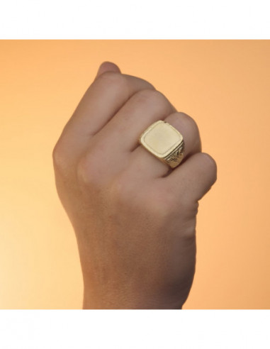 18K SELLO ORO AMARILLO CABALLERO...