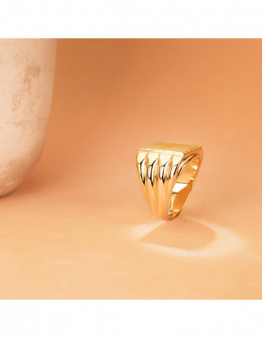 18K SELLO ORO AMARILLO CABALLERO MATE...