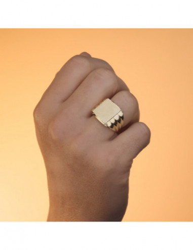 18K SELLO ORO AMARILLO CABALLERO MATE...