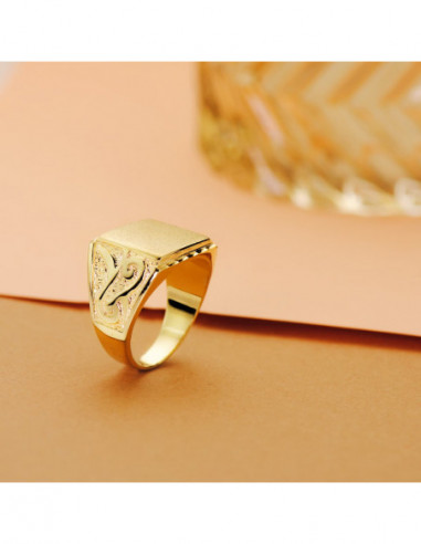 18K SELLO ORO AMARILLO CABALLERO ZONA...