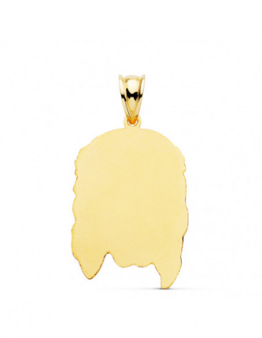 18K COLGANTE ORO AMARILLO CABEZA DE...
