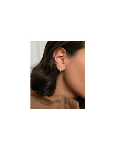 PENDIENTES DE PLATA DE PRIMERA LEY...