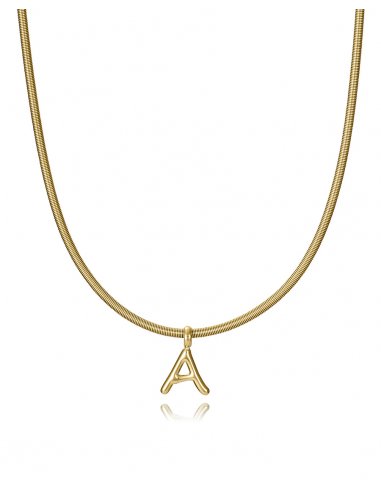 COLLAR DE ACERO Y TITANIO IP DORADO...