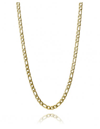 COLLAR VICEROY DE HOMBRE ACERO DORADO...