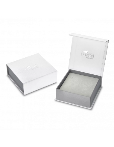 COLLAR LETRA R LOTUS SILVER TRENDY...