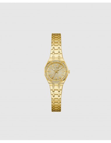 RELOJ DE MUJER PIXIE GW0931L2 DE...