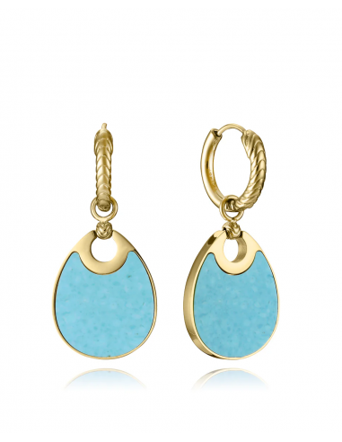 PENDIENTES DE MUJER DE ACERO IP...