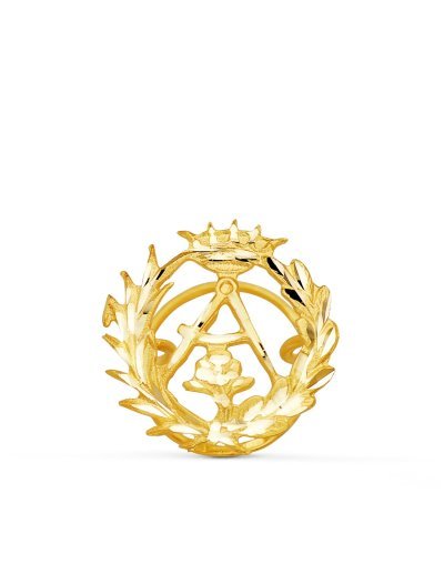 18K INSIGNIA ORO AMARILLO...