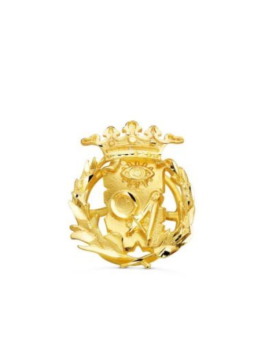 18K INSIGNIA ORO AMARILLO CIENCIAS...