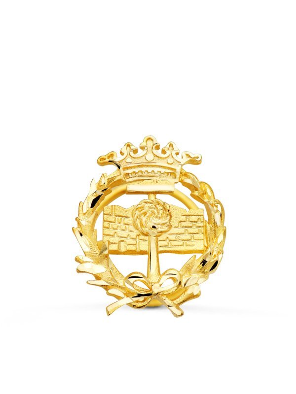 18K INSIGNIA ORO AMARILLO GEOLOGICAS...