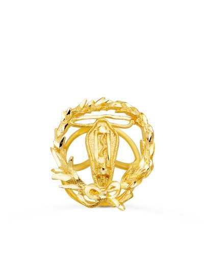 18K INSIGNIA ORO AMARILLO...